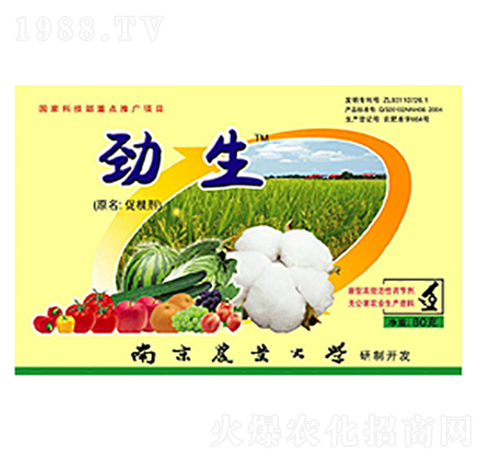 �����ٸ���-���r�߿�