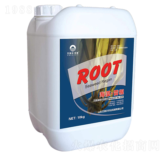 �����׸�-������