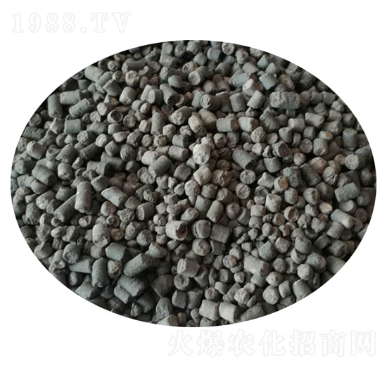 ���S����ˎ��-ʥ������