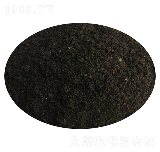 ���S-ʥ������