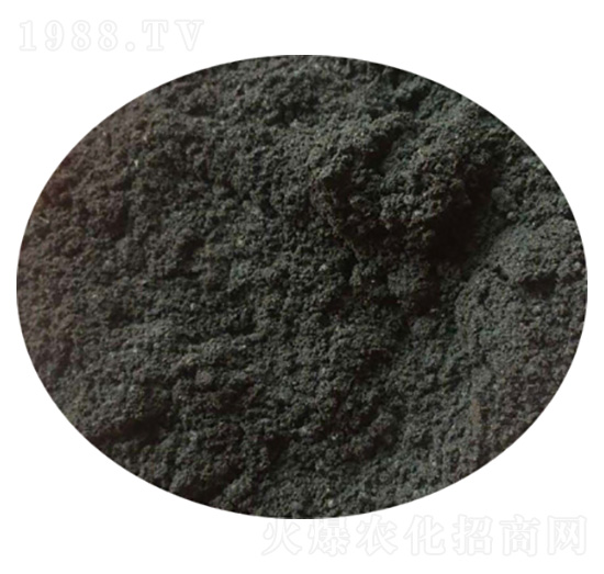 �u�S��-ʥ������