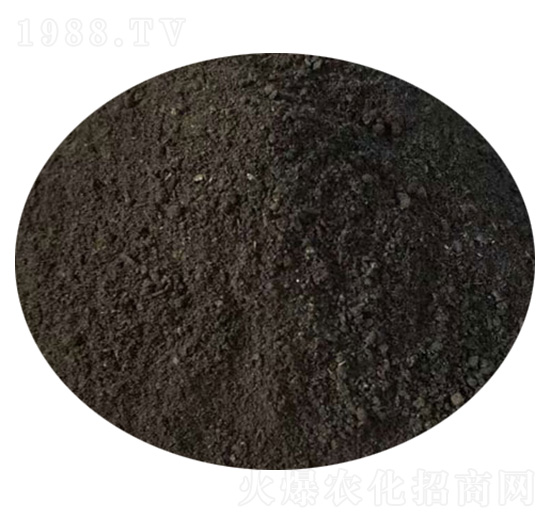 �u�S-ʥ������