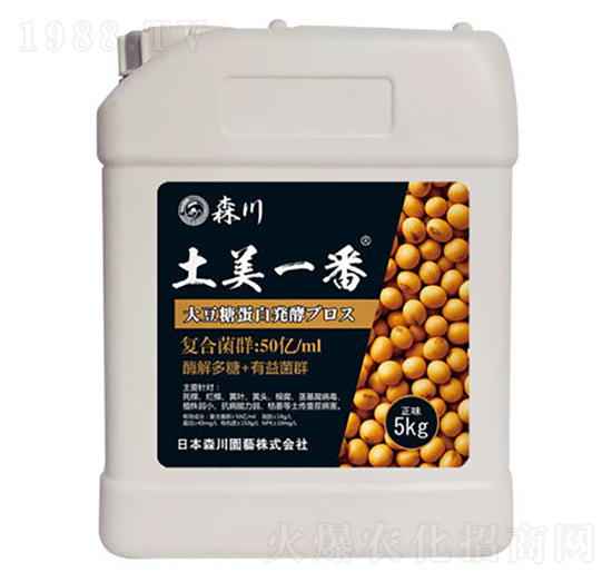 ����һ�������;���-ɭ��-����