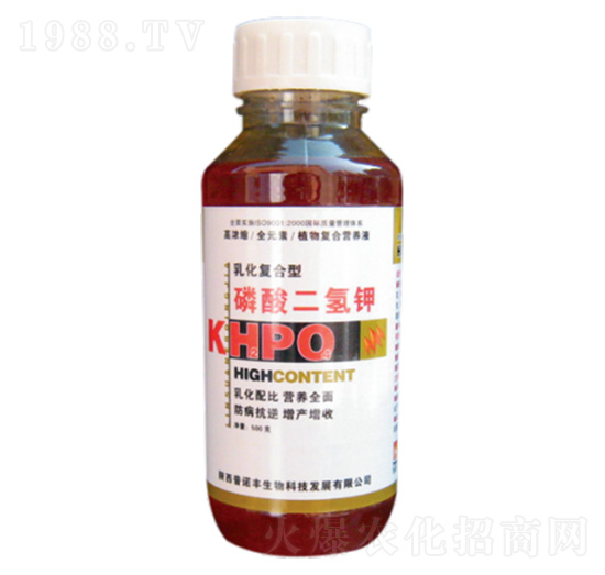 ��������-���Z�S