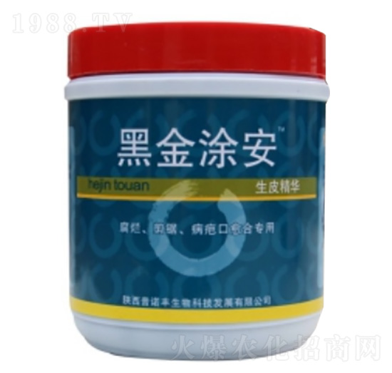 �ڽ�Ϳ��-���Z�S