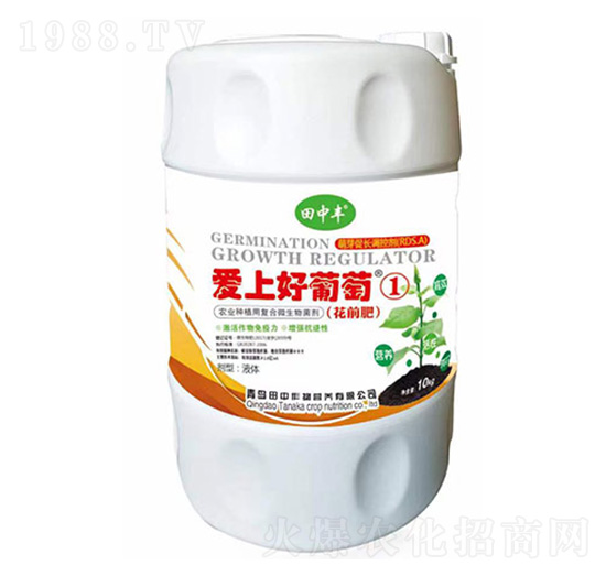 ���Ϻ�����-��������