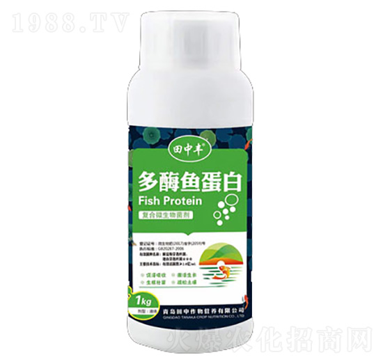 ��ø�~���׏�(f��)��΢�������-��������