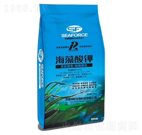 �������-�������