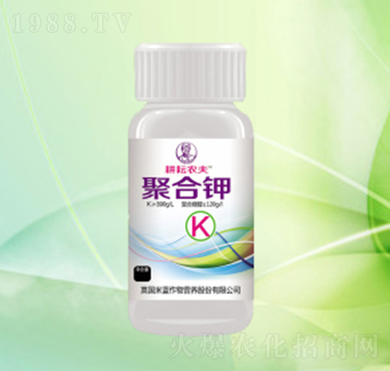 �ۺ��-�����r��