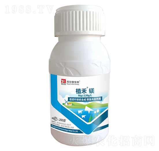 ֲ���V-�̩