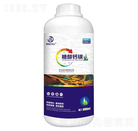 �Ǵ��}�V-��ɽֲ��