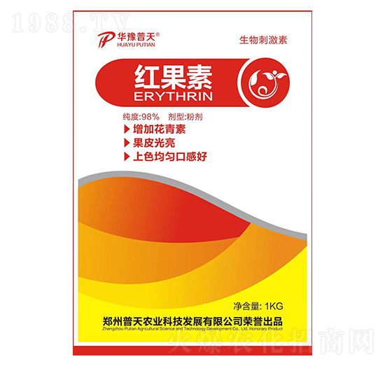 �t����-�����r�I(y��)