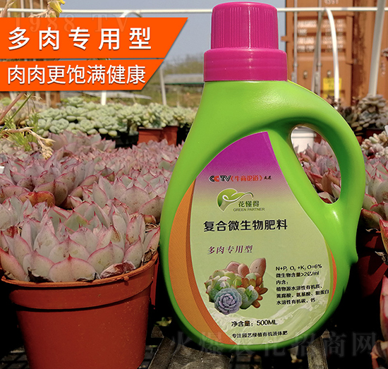 ���⌣���͏ͺ�΢�������-������