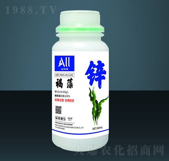 �����\-��(��i)�����B(t��i)