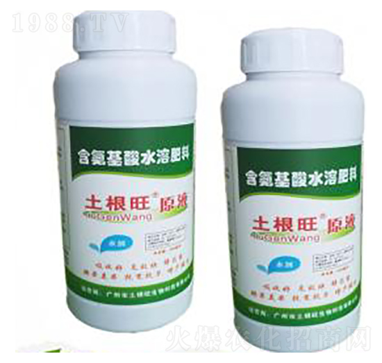 ԭҺ-������