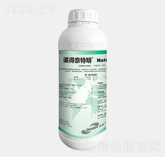 ����������-��������