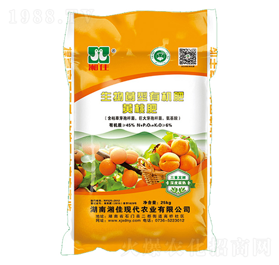 �������S�Ҍ�����������ЙC(j��)����-���