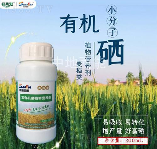 ������ЙC(j��)��ֲ��I(y��ng)�B(y��ng)��-�е�����