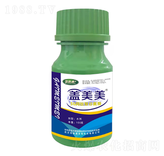 �w����5G�W�ľ۹Ȱ���-���}ͨ