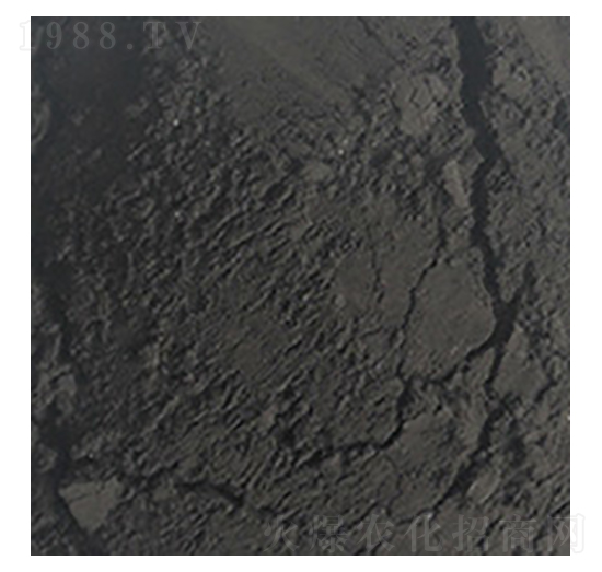 ��ֲ��ԭ��-��W�Ƽ�