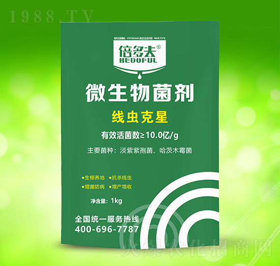 ���x����-�����