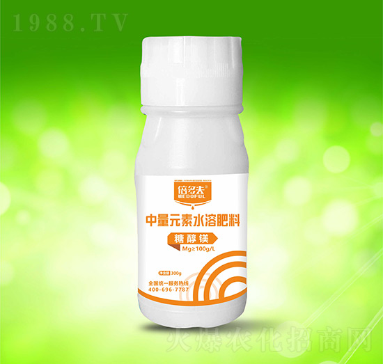 �Ǵ��V-�����