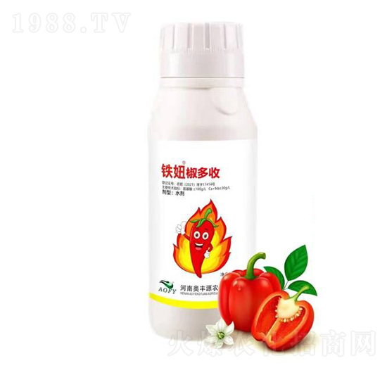 �F椽�����-�W�SԴ