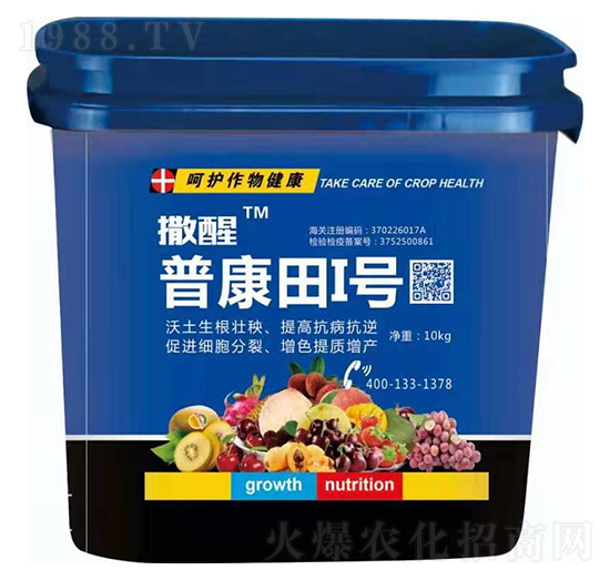 �տ���1̖(h��o)-����-�տ���