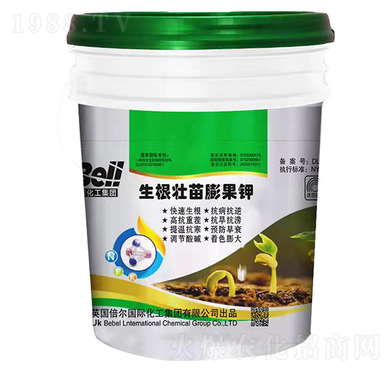 ������������-Ӣ������-�տ���