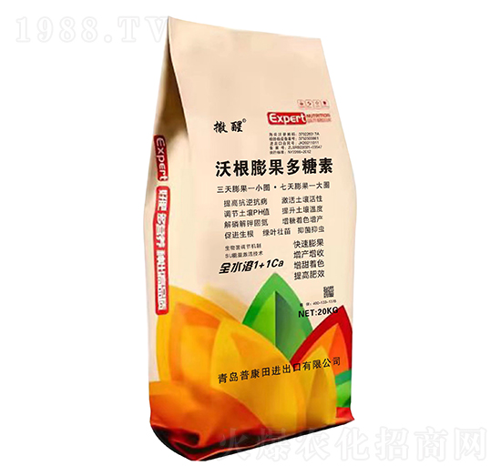 �ָ����������-����-�տ���