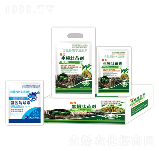 ��(qi��ng)���������焩+�����T��(d��o)��-�ֵϾ�