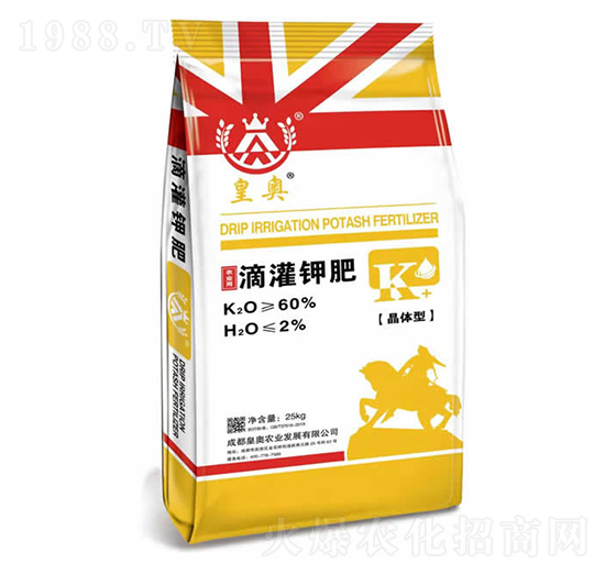 �ι�⛷�-�ʊW