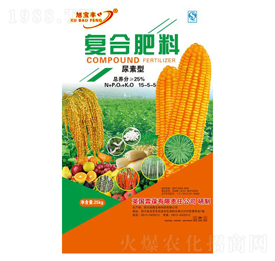 �����͏ͺϷ���15-5-5-���S