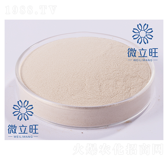 �l(f��)���ͦ�-GABA-΢����