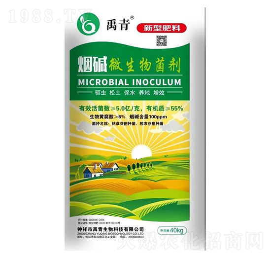 ���A΢�������-��������