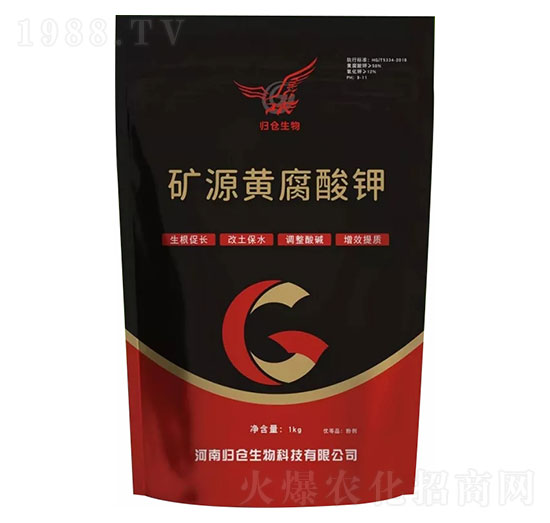 �VԴ�S�����-�w�}����