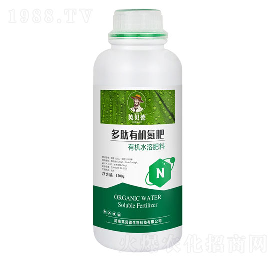 �����ЙC(j��)����-Ӣؐ��