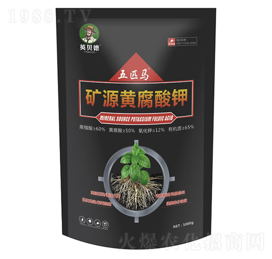 �VԴ�S�����-��ƥ�R-Ӣؐ��