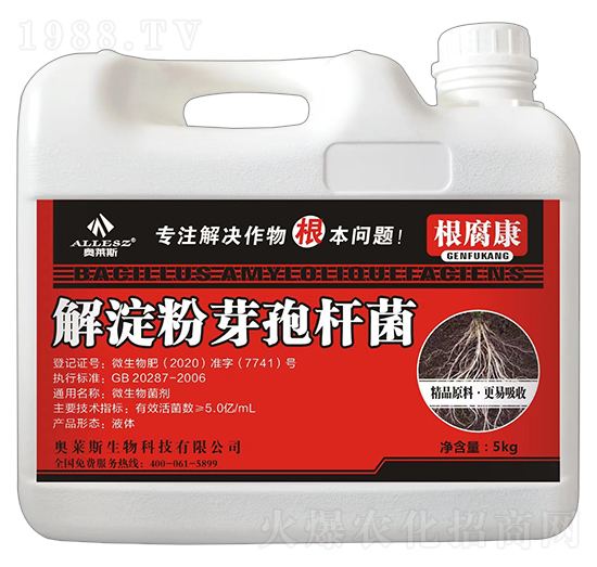 5kg�����ѿ�ߗU��-������-�W�R˹