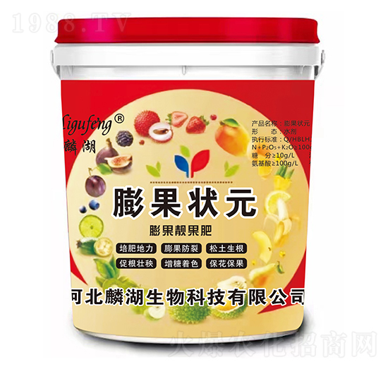 ����n����-�����Ԫ-�������