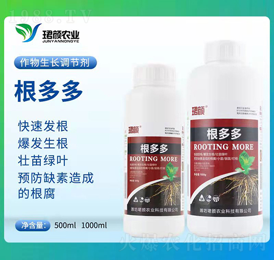 �����-�B��r(n��ng)�I(y��)