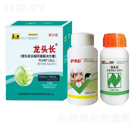 ���^���L��ˎ����Q����-���^�L-������A