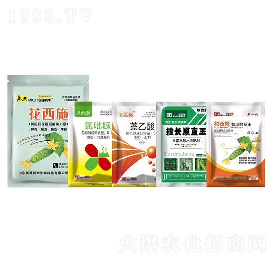 �S���r���ֱ��Q����-������A