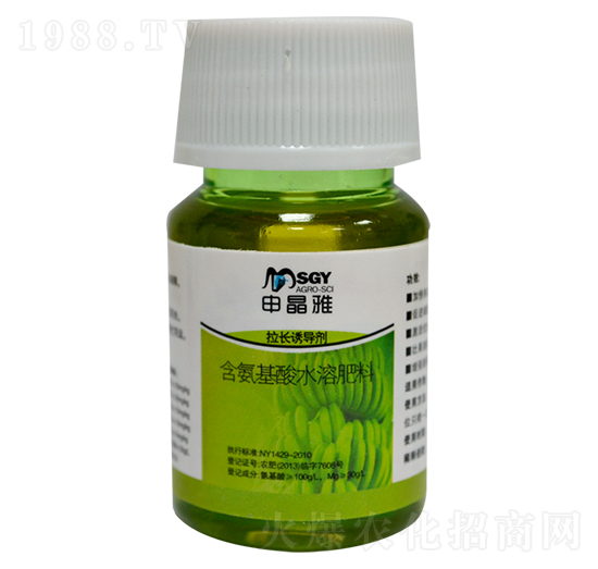 ���L�T����-�꾧��