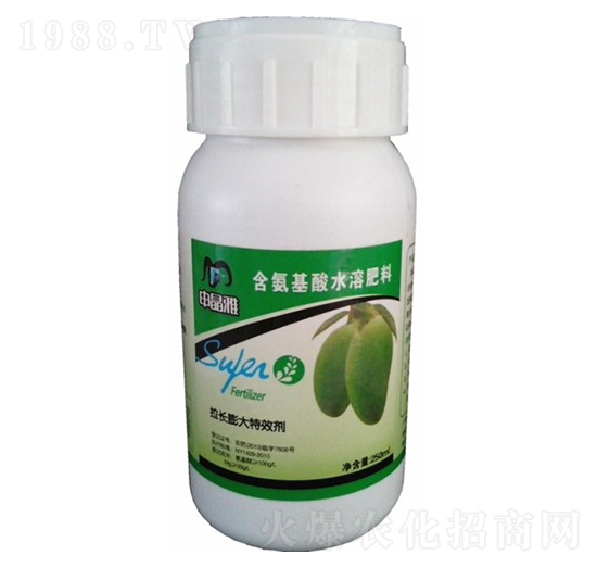 â�����L���-�꾧��