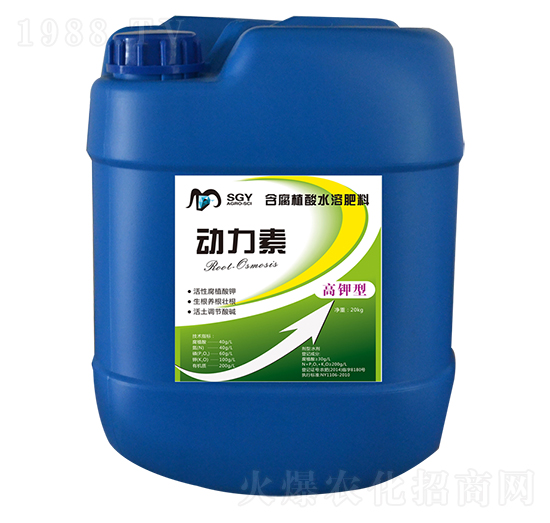 ������-�꾧��