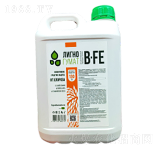 ľ�|(zh��)�ᣨ�SͰ��-�Ŭ���