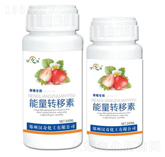 ��ݮ���������D����-�h�滯��