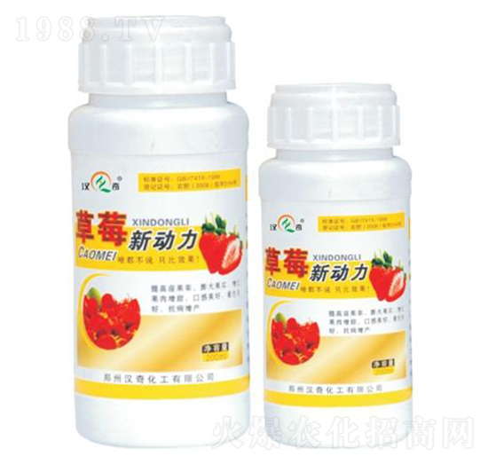 ��ݮ��(d��ng)��-�h�滯��