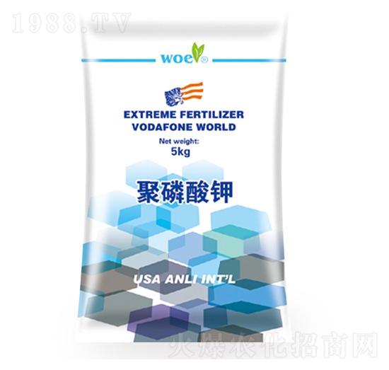 �������-�֠�